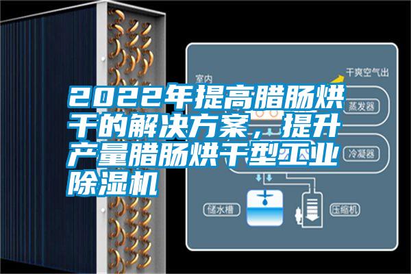 2022年提高臘腸烘干的解決方案，提升產(chǎn)量臘腸烘干型工業(yè)除濕機(jī)