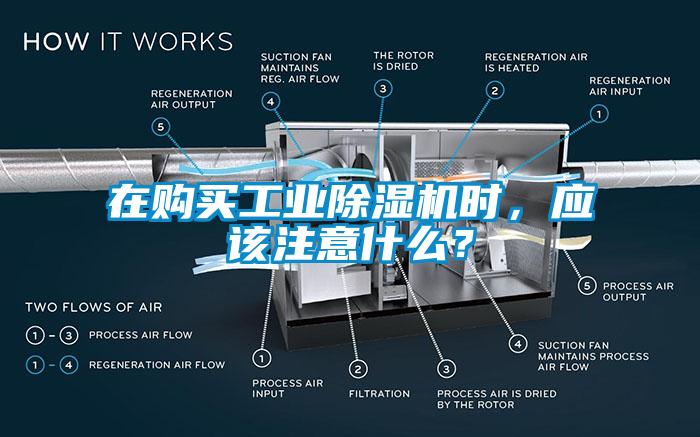 在購(gòu)買工業(yè)除濕機(jī)時(shí)，應(yīng)該注意什么？