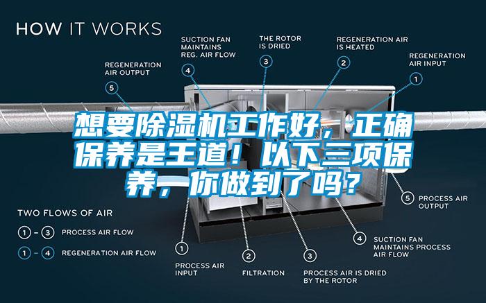 想要除濕機工作好，正確保養是王道！以下三項保養，你做到了嗎？