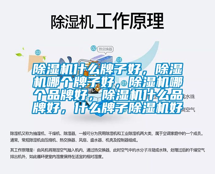 除濕機什么牌子好，除濕機哪個牌子好，除濕機哪個品牌好，除濕機什么品牌好，什么牌子除濕機好