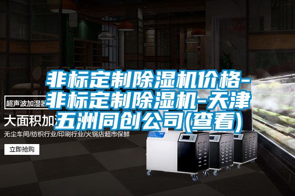 非標定制除濕機價格-非標定制除濕機-天津五洲同創公司(查看)